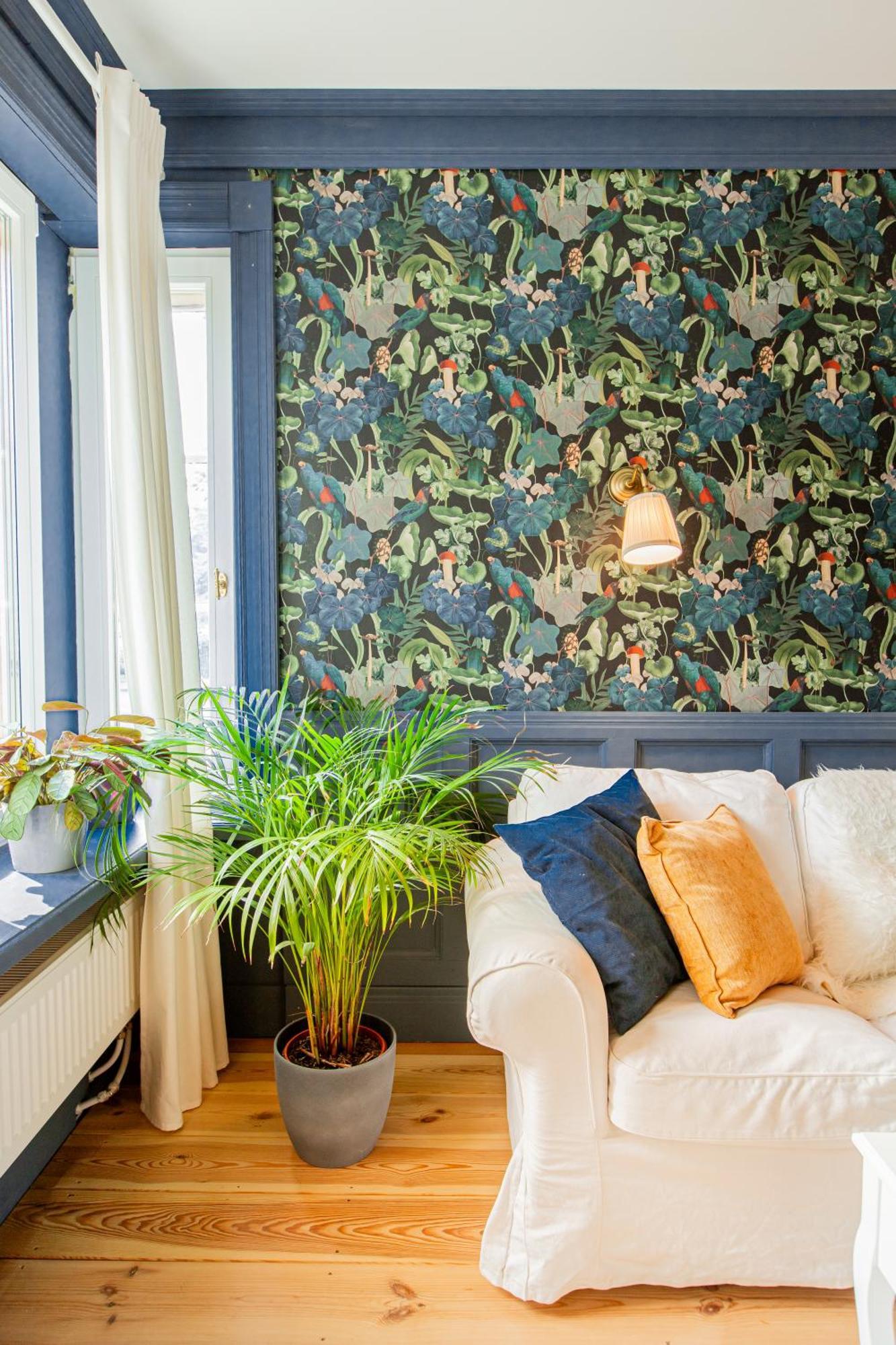 Apartment Wohnen Im Carl Maria Von Weber Geburtshaus